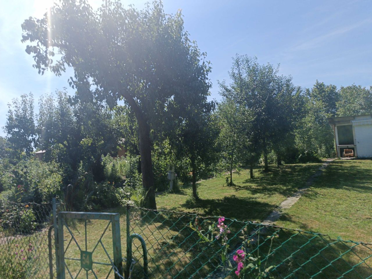 Działka rod Tarnobrzeg. Zdjęcie 6