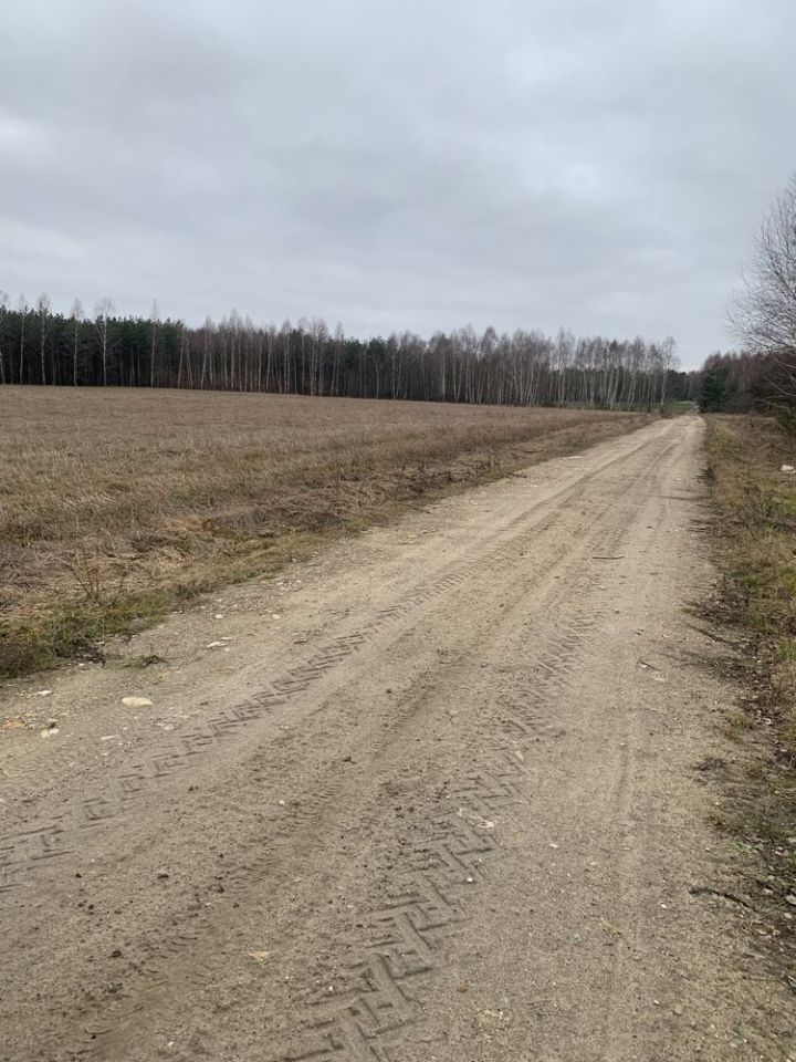 Działka inwestycyjna Zdziechów. Zdjęcie 5