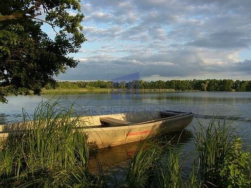 Działka rolna Białykał. Zdjęcie 3