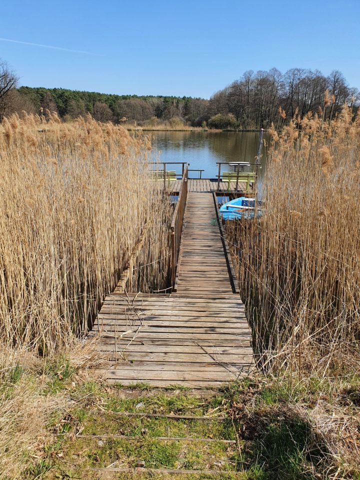 Działka rolna Bledzew Tymiana, ul. Tymiany. Zdjęcie 41
