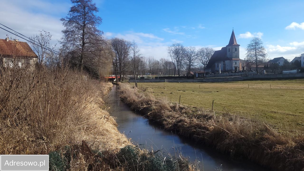Działka rolno-budowlana Karchowice, ul. Bytomska. Zdjęcie 5