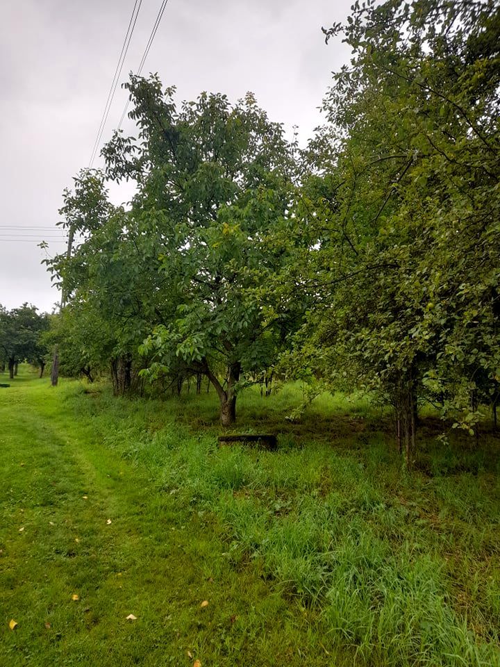 Działka budowlana Bysina. Zdjęcie 8