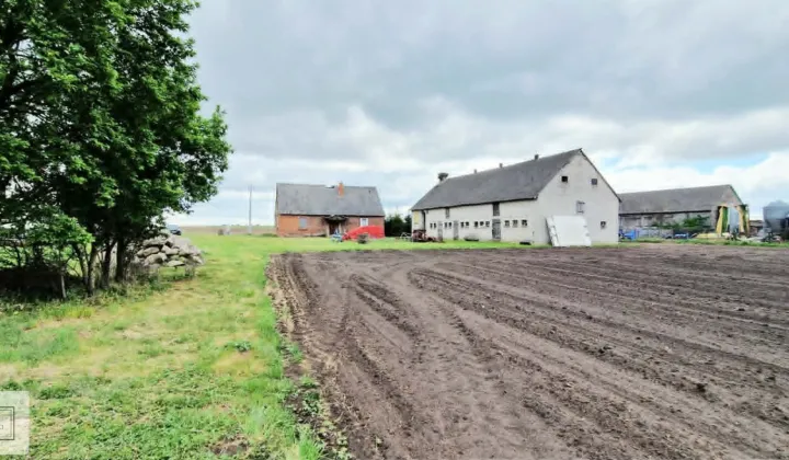 Działka Jabłków