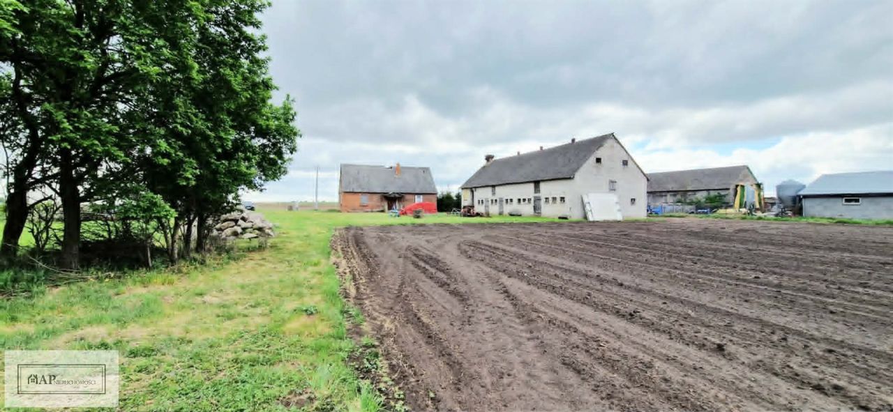 Działka Jabłków. Zdjęcie 1