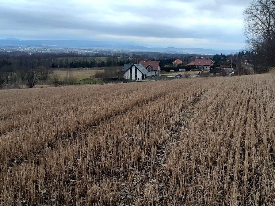 Działka rolno-budowlana Jaszkówka. Zdjęcie 2