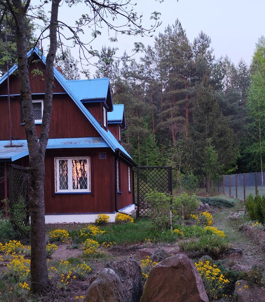 Działka siedliskowa Siemianówka, ul. Szkolna