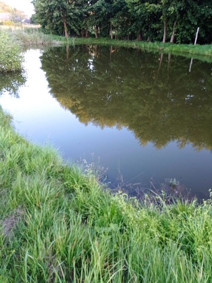 Działka rolna Siemiatycze. Zdjęcie 5