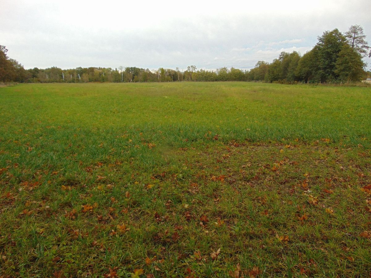 Działka inwestycyjna Zielona Góra. Zdjęcie 6