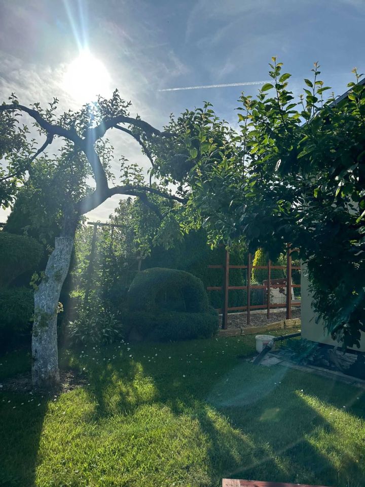 Działka rod Świdnica, ul. Stanisława Staszica. Zdjęcie 4