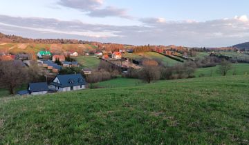 dom wolnostojący, 5 pokoi Bereżnica Wyżna