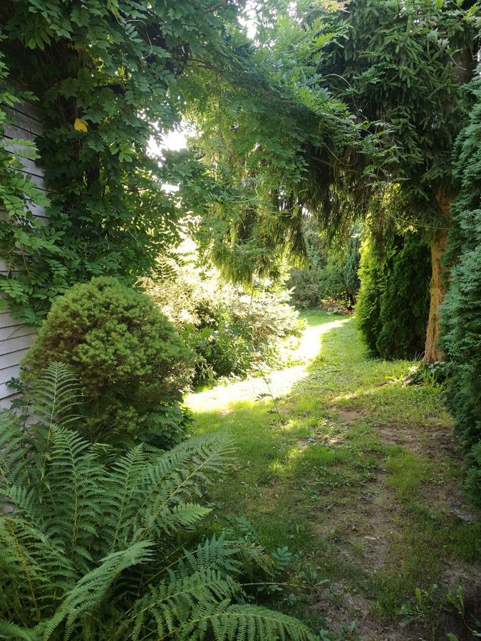 Działka budowlana Lipinki. Zdjęcie 6