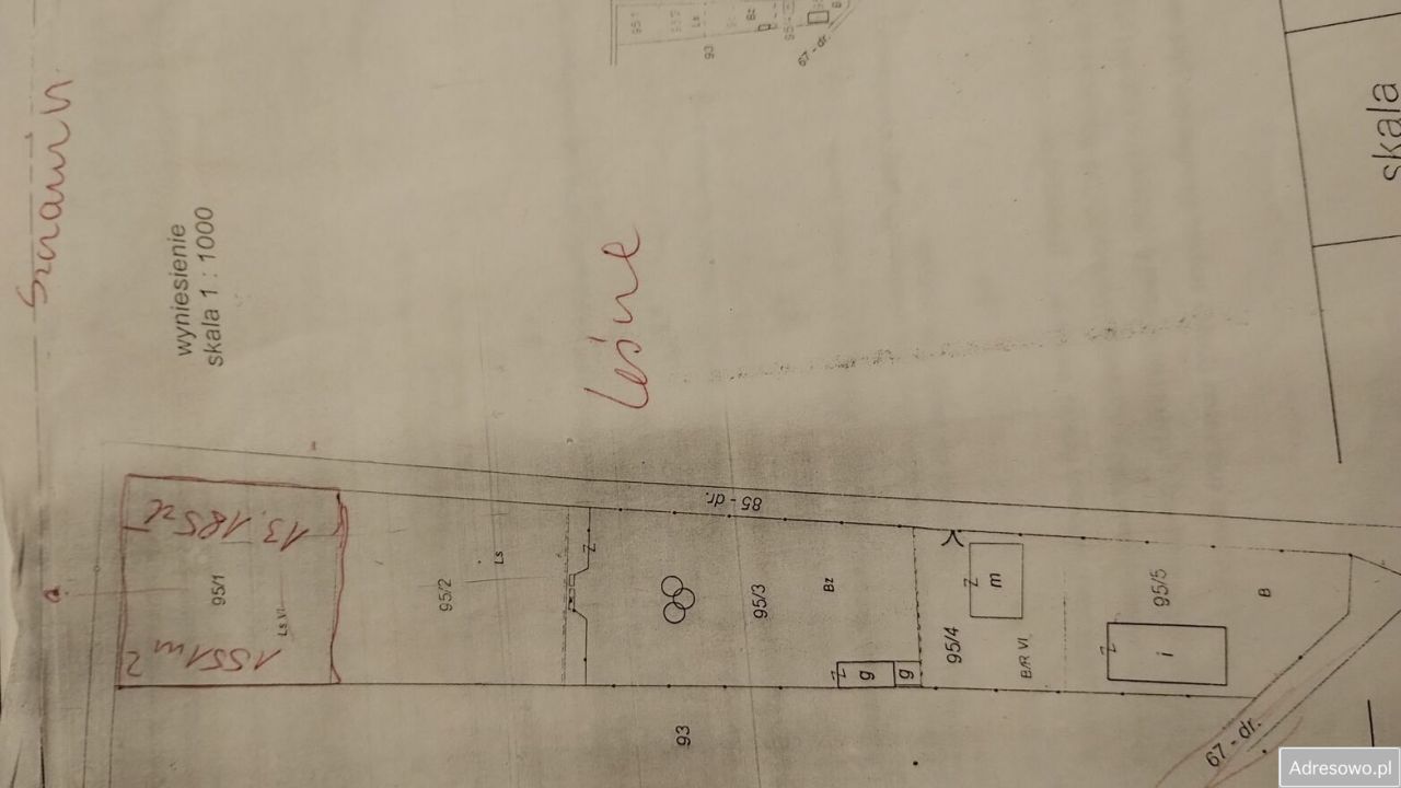 Działka leśna Szczawin. Zdjęcie 6