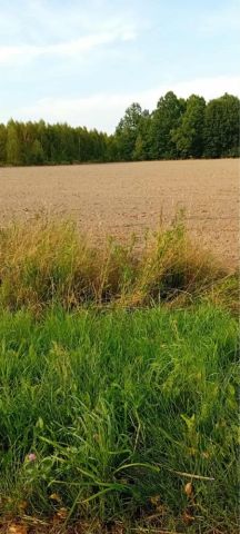 Działka rolno-budowlana Nowa Wieś. Zdjęcie 1