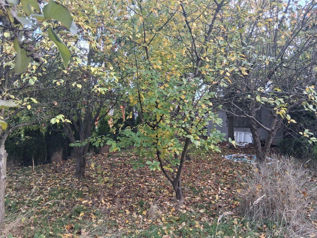 Działka rod Kalisz. Zdjęcie 8