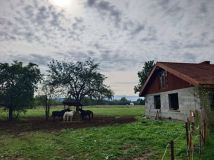 dom wolnostojący Stadła. Zdjęcie 1