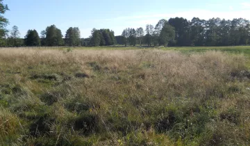 Działka na sprzedaż bez pośredników 
 
 Guzów - Widok 5