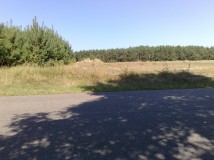 Działka rolna Wólka-Wojciechówek Wojciechowo. Zdjęcie 1