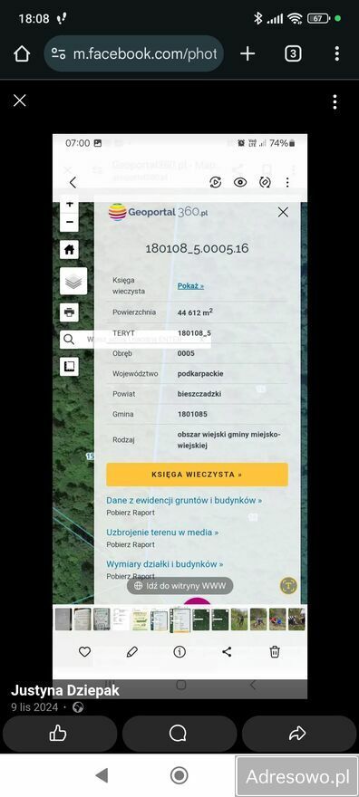 Działka leśna Daszówka. Zdjęcie 7