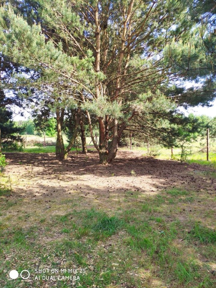 Działka leśna Nowe Ręczaje