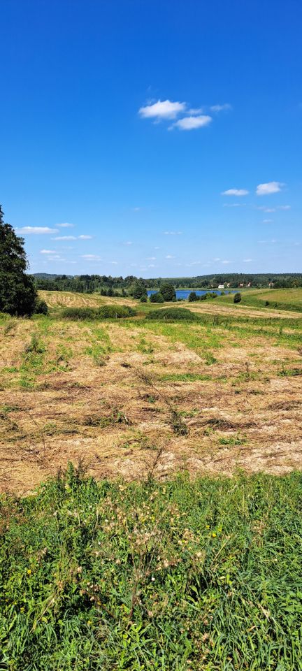 Działka rolna Cerkiewnik. Zdjęcie 10