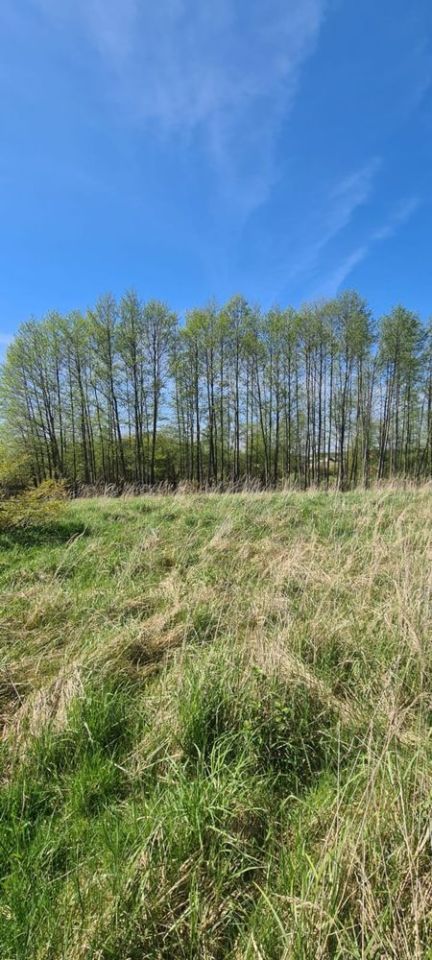 Działka rekreacyjna Antoninów. Zdjęcie 7