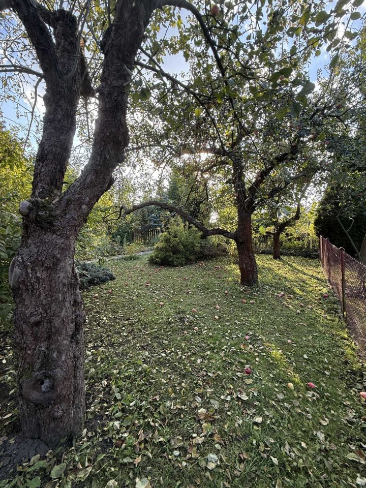 Działka rod Bełchatów. Zdjęcie 7