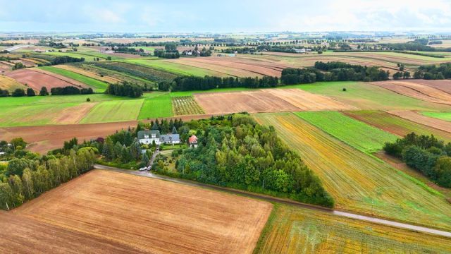Działka rolna Zochcinek. Zdjęcie 13