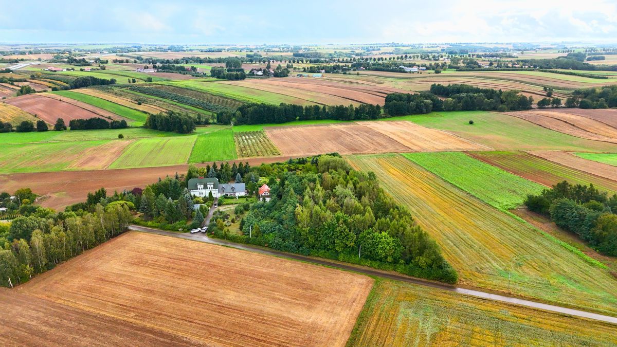 Działka rolna Zochcinek. Zdjęcie 13