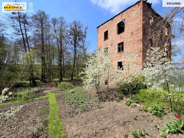 Działka budowlana Różańsko. Zdjęcie 3