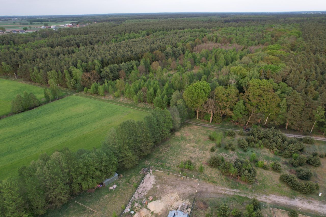 Działka budowlana Bogusławki, ul. Leśna. Zdjęcie 6