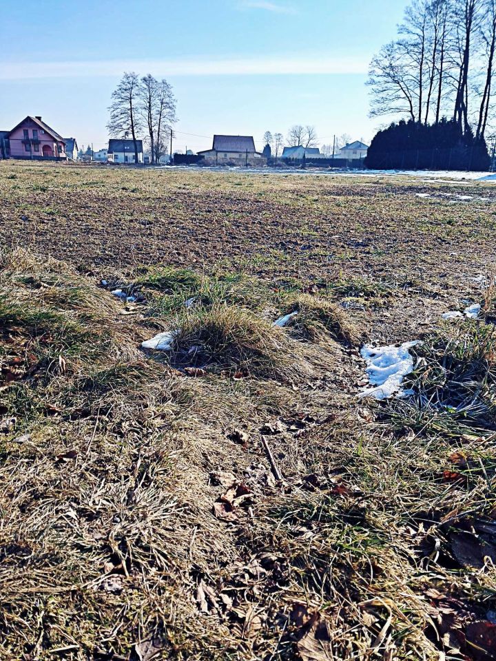 Działka budowlana Frydek, ul. Miodowa. Zdjęcie 2
