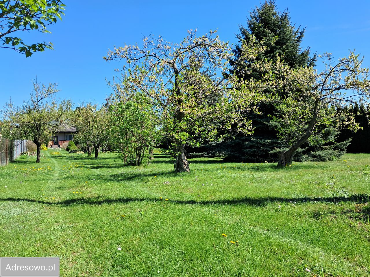 Działka budowlana Bogucin. Zdjęcie 9