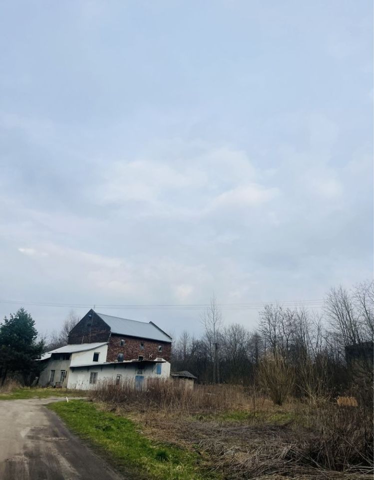 Nieruchomość komercyjna Nowa Grobla. Zdjęcie 4