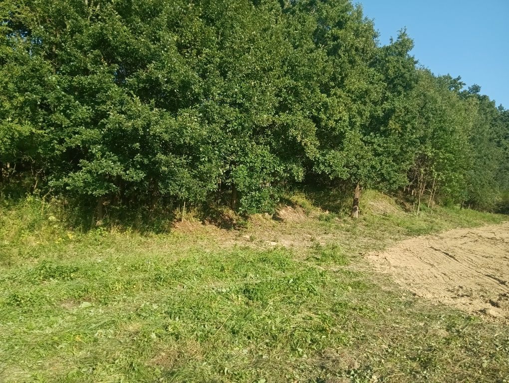 Działka siedliskowa Błażowa. Zdjęcie 6