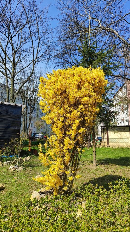 Mieszkanie 3-pokojowe Sosnowiec Klimontów, ul. Gabrieli Zapolskiej. Zdjęcie 7