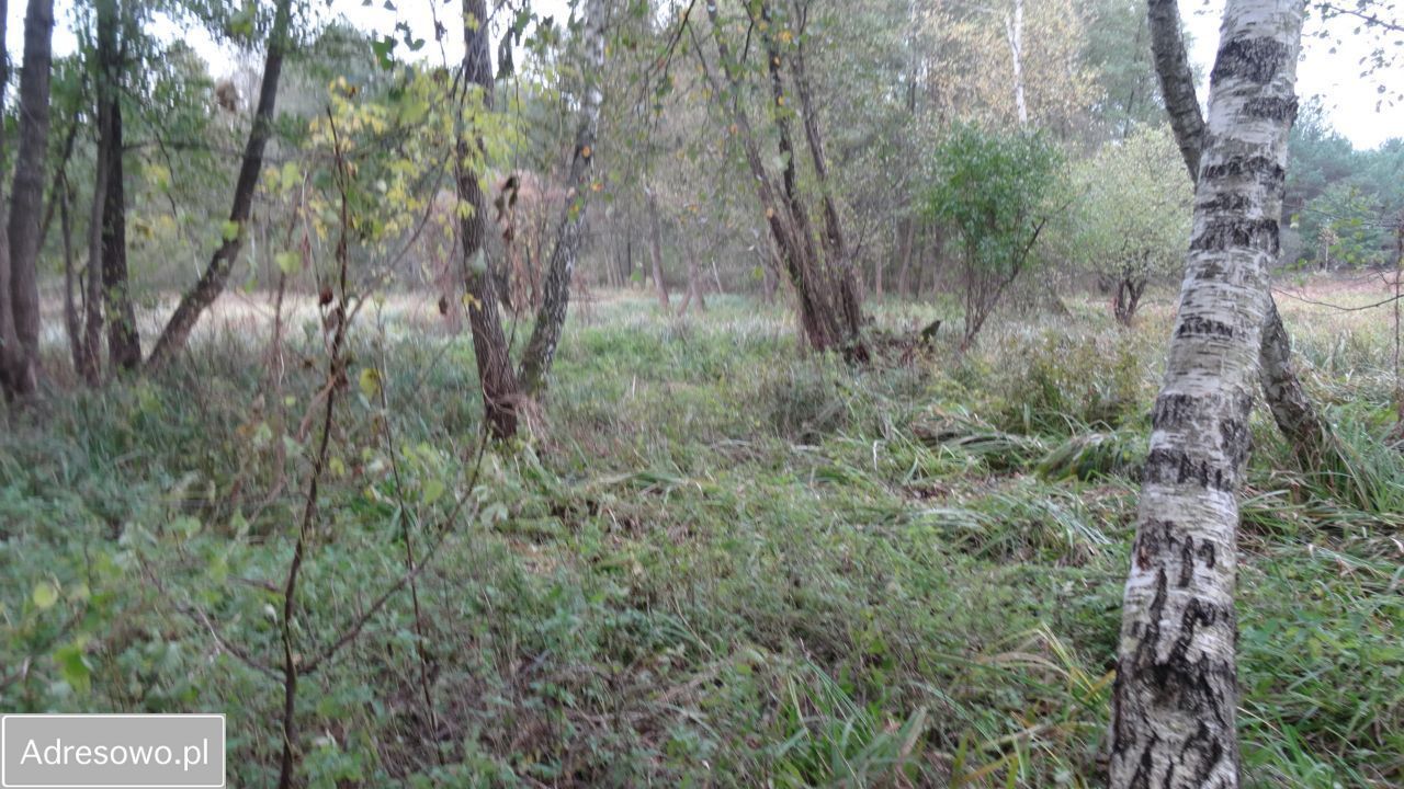 Działka budowlana Tłuszcz. Zdjęcie 7