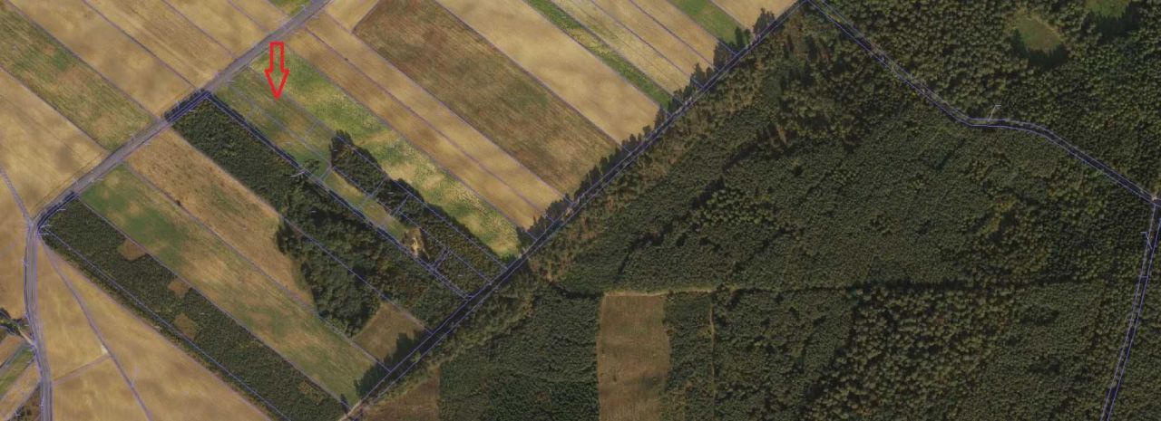 Działka rekreacyjna Huta. Zdjęcie 4