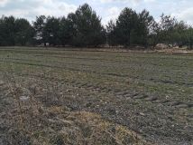 Działka budowlana Rabinówka. Zdjęcie 4