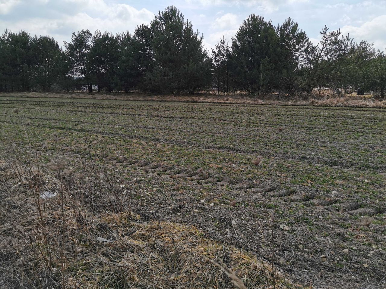 Działka budowlana Rabinówka. Zdjęcie 5