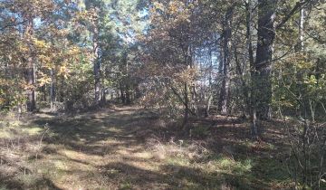 Działka rolno-budowlana Prostyń