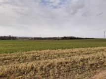 Działka rolno-budowlana Baciuty, ul. Młynowa. Zdjęcie 1