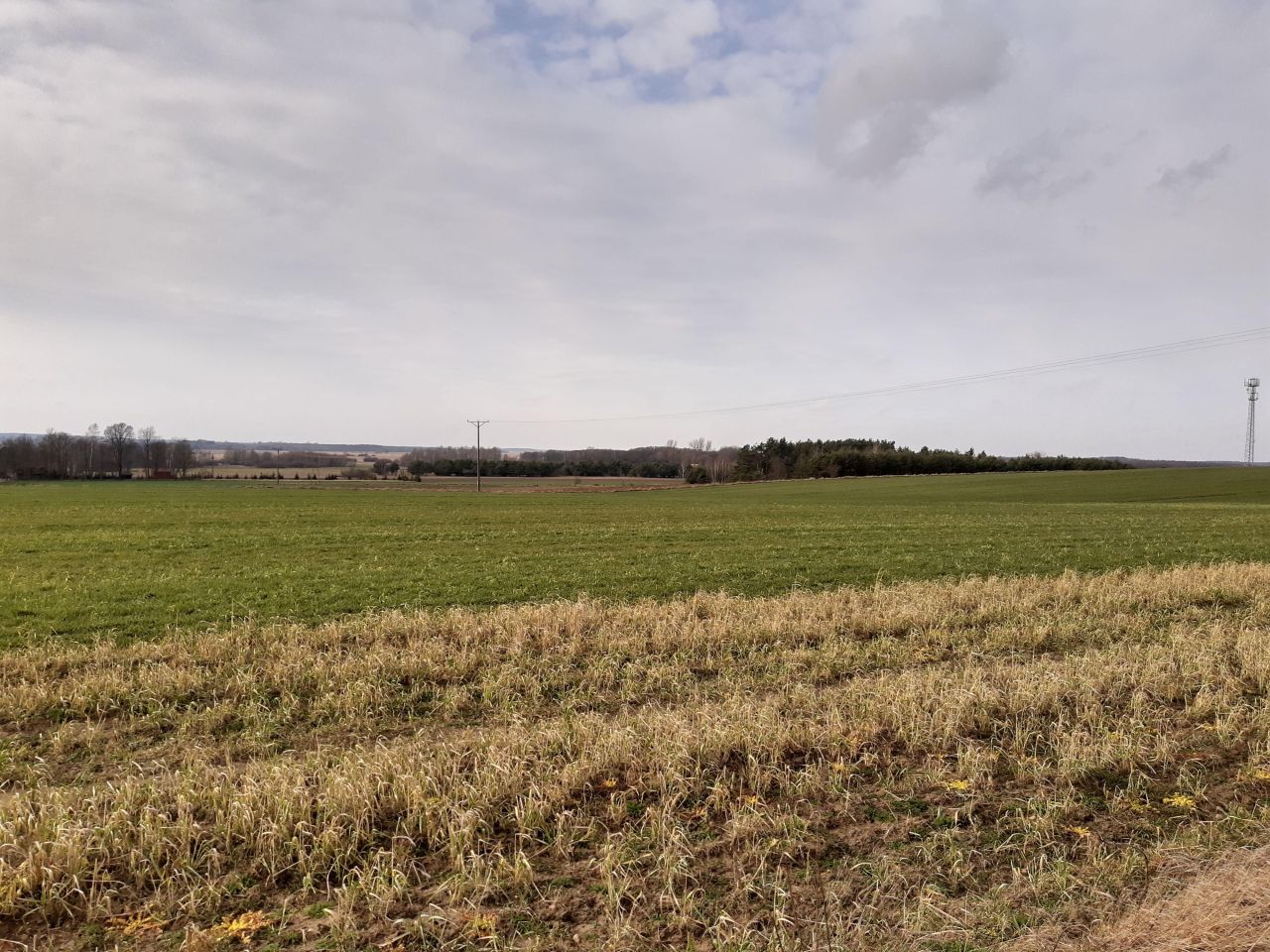 Działka rolno-budowlana Baciuty, ul. Młynowa. Zdjęcie 2