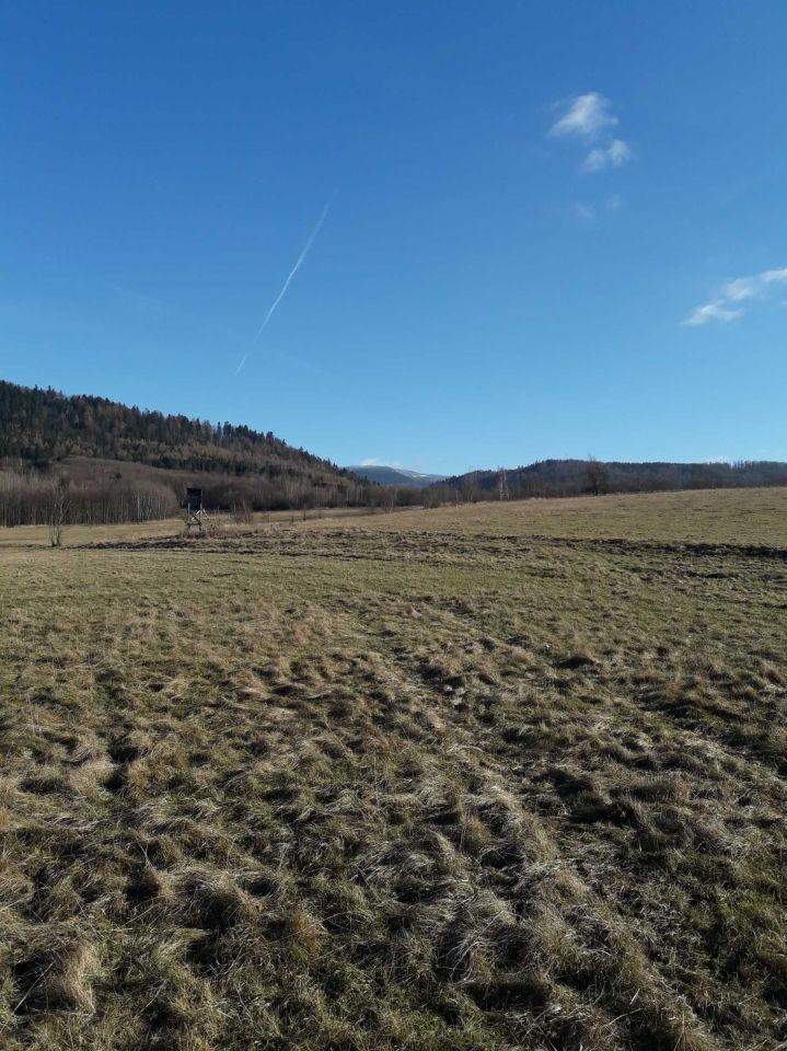 Działka rolna Wilkanów. Zdjęcie 3