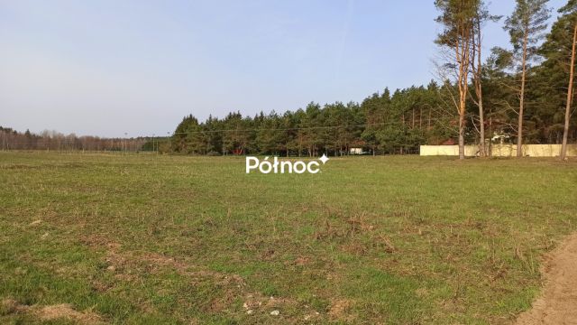 Działka Bobrowa. Zdjęcie 7