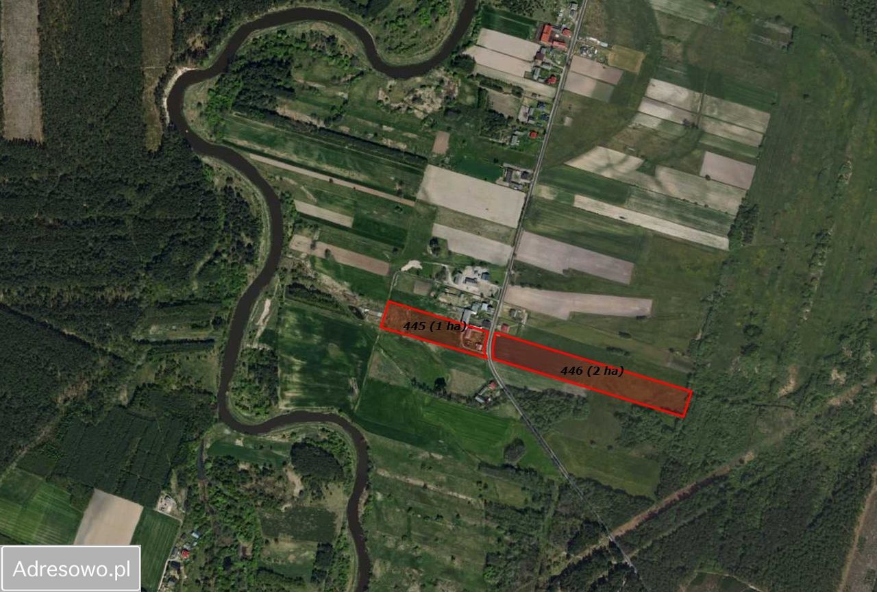 gospodarstwo, 3 pokoje Taras. Zdjęcie 4