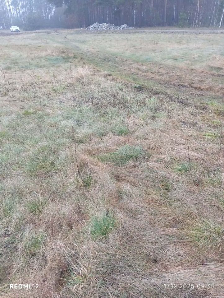 Działka budowlana Cegielnik. Zdjęcie 3