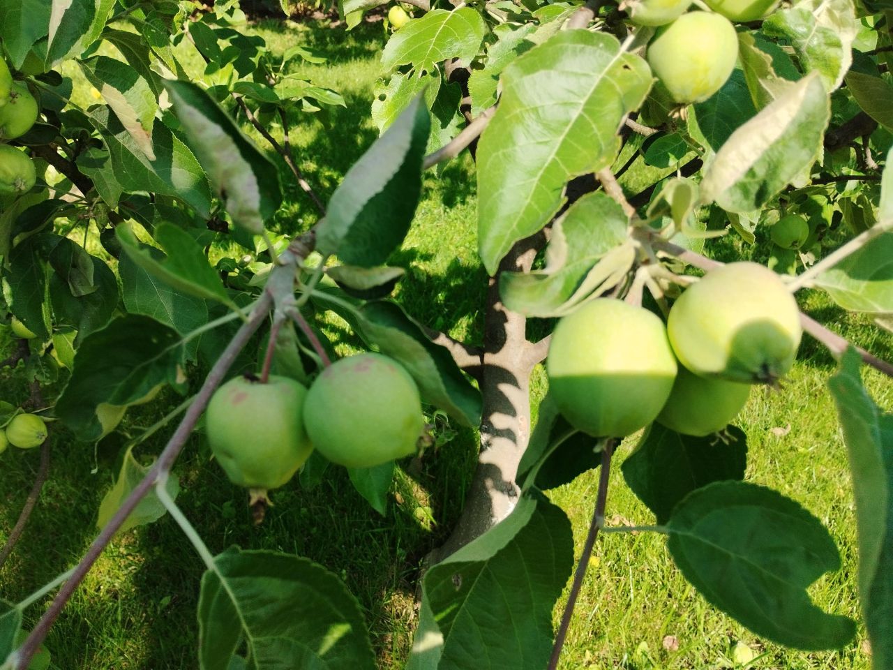 Mieszkanie 3-pokojowe Przemyśl, ul. Artura Malawskiego. Zdjęcie 37