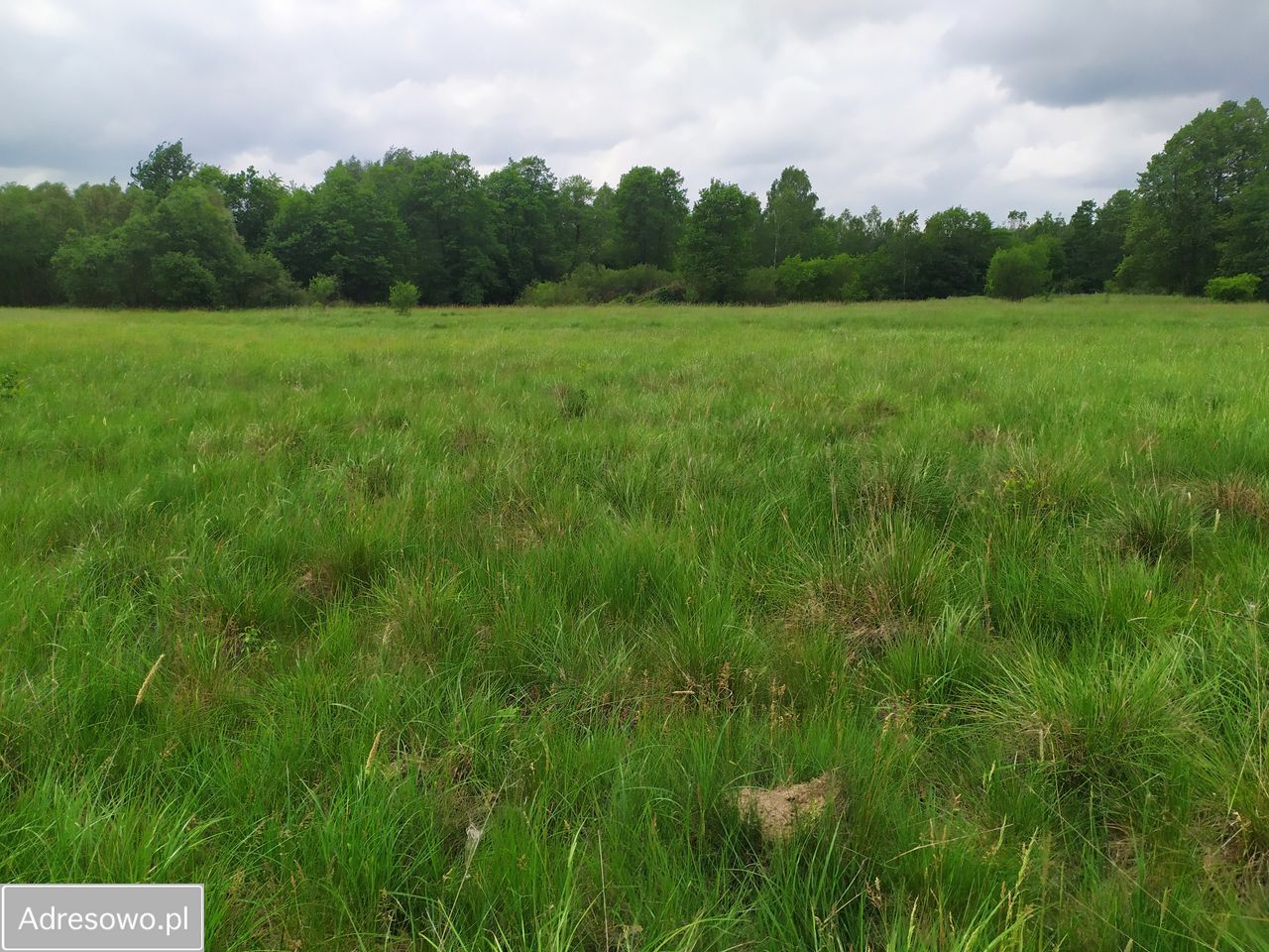 Działka rekreacyjna Pstrokonie. Zdjęcie 3