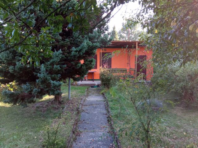 Działka rod Tychy, ul. Zrębowa. Zdjęcie 1