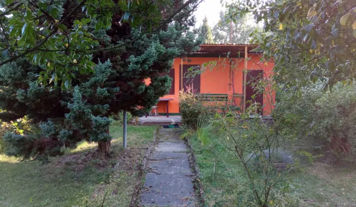 Działka rod Tychy, ul. Zrębowa